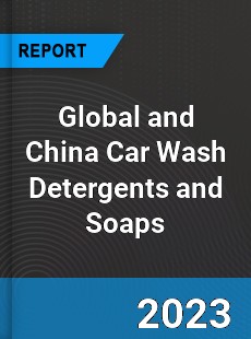Global and China Car Wash Detergents and Soaps Industry