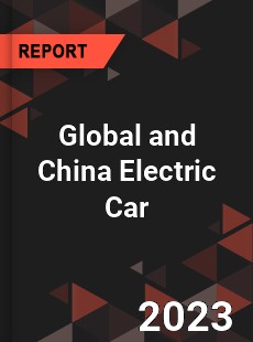 Global and China Electric Car Industry