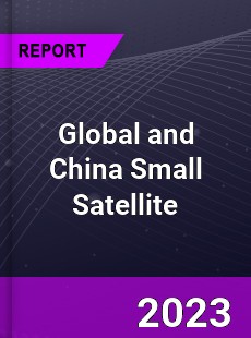 Global and China Small Satellite Industry