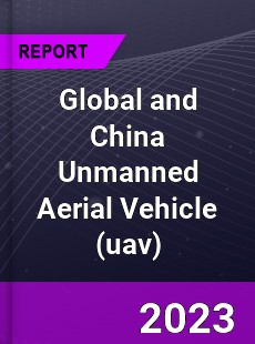 Global and China Unmanned Aerial Vehicle Industry