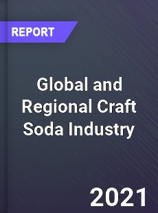 Global and Regional Craft Soda Industry