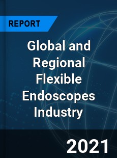 Global and Regional Flexible Endoscopes Industry