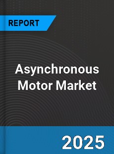 Global Asynchronous Motor Market