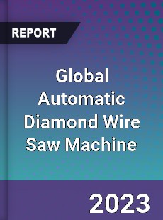 Global Automatic Diamond Wire Saw Machine Industry