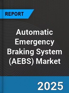 Global Automatic Emergency Braking System Market