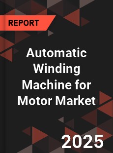 Global Automatic Winding Machine for Motor Outlook
