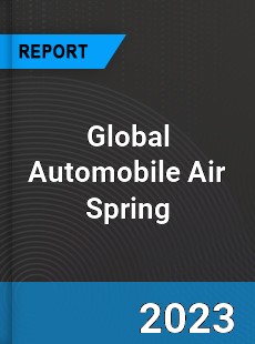Global Automobile Air Spring Industry