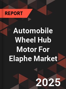 Automobile Wheel Hub Motor For Elaphe Market
