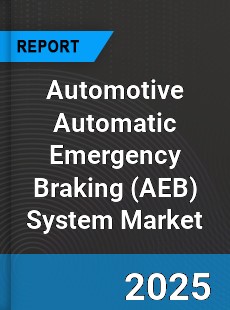 Global Automotive Automatic Emergency Braking System Market