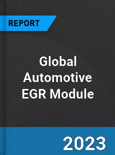 Global Automotive EGR Module Industry
