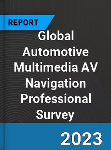 Global Automotive Multimedia AV Navigation Professional Survey Report