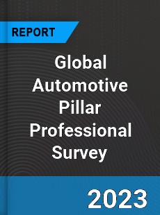 Global Automotive Pillar Professional Survey Report