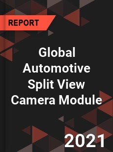 Global Automotive Split View Camera Module Market