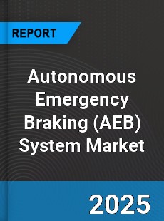 Global Autonomous Emergency Braking System Market