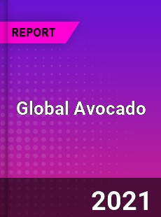 Global Avocado Market