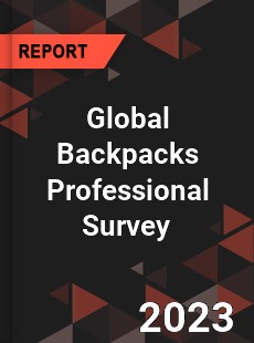 Global Backpacks Professional Survey Report