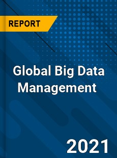 Global Big Data Management Market