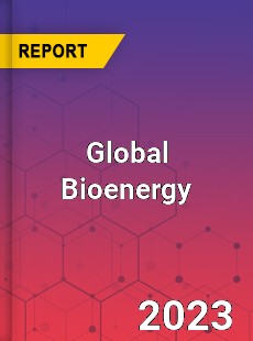 Global Bioenergy Market