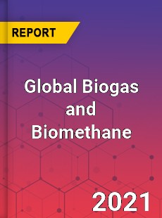 Global Biogas and Biomethane Market