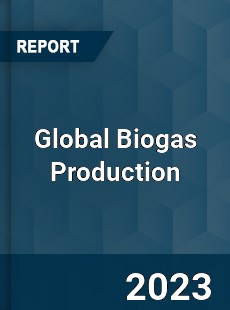 Global Biogas Production Industry