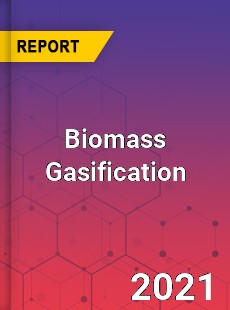 Global Biomass Gasification Market