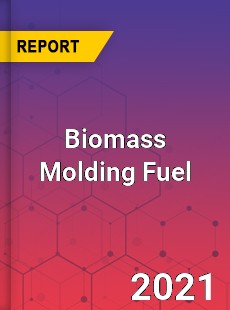 Global Biomass Molding Fuel Market