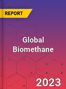 Global Biomethane Market