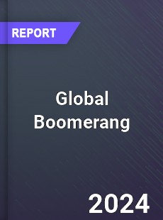 Global Boomerang Market