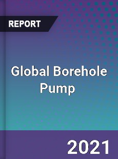 Global Borehole Pump Market