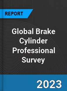 Global Brake Cylinder Professional Survey Report