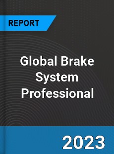 Global Brake System Professional Market