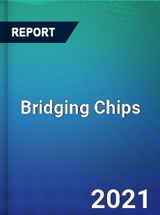 Global Bridging Chips Professional Survey Report