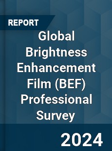 Global Brightness Enhancement Film Professional Survey Report