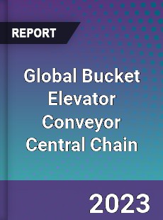 Global Bucket Elevator Conveyor Central Chain Industry