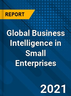 Global Business Intelligence in Small Enterprises Market