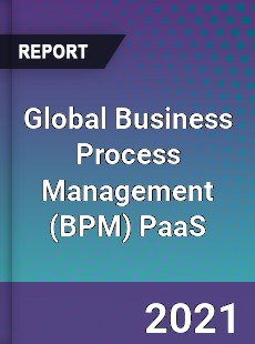 Global Business Process Management PaaS Market