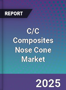 Global C C Composites Nose Cone Outlook