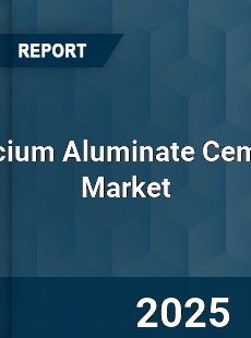 Global Calcium Aluminate Cement Market