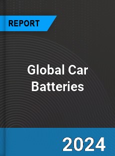 Global Car Batteries Market