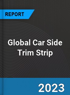 Global Car Side Trim Strip Industry