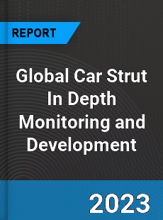 Global Car Strut In Depth Monitoring and Development Analysis