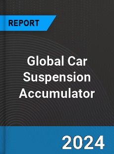 Global Car Suspension Accumulator Industry