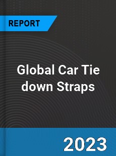 Global Car Tie down Straps Industry
