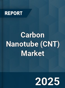 Global Carbon Nanotube Market