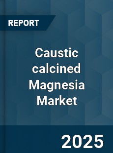 Global Caustic calcined Magnesia Market