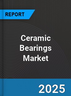 Global Ceramic Bearings Market