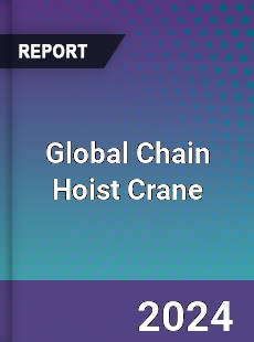 Global Chain Hoist Crane Industry