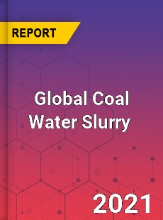 Global Coal Water Slurry Market