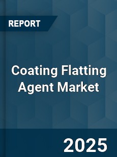 Global Coating Flatting Agent Market