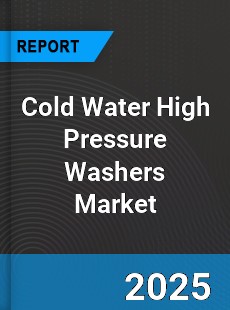 Global Cold Water High Pressure Washers Industry